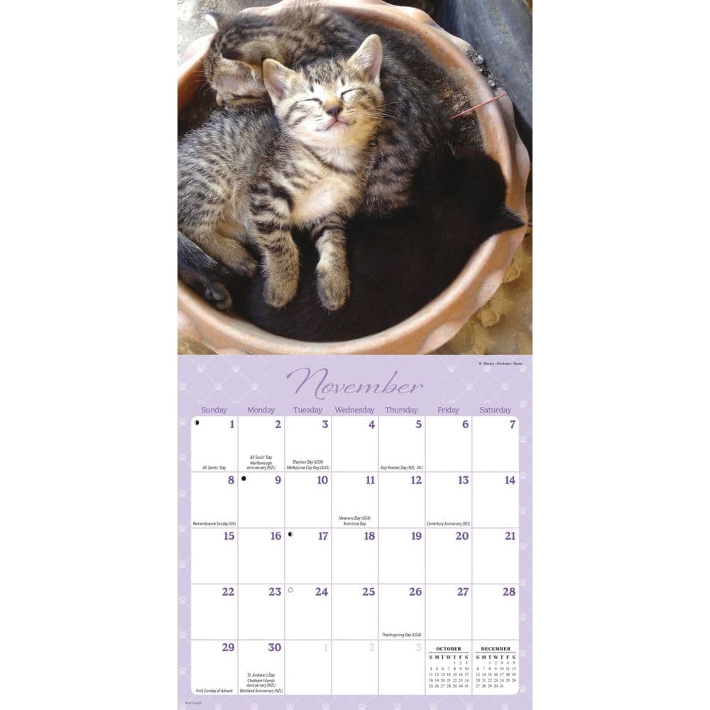 Naptime 2026 Mini Wall Calendar Fourth Alternate Image