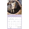 image Naptime 2026 Mini Wall Calendar Fourth Alternate Image