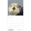 image Sea Otters 2027 Wall Calendar Fourth Alternate Image