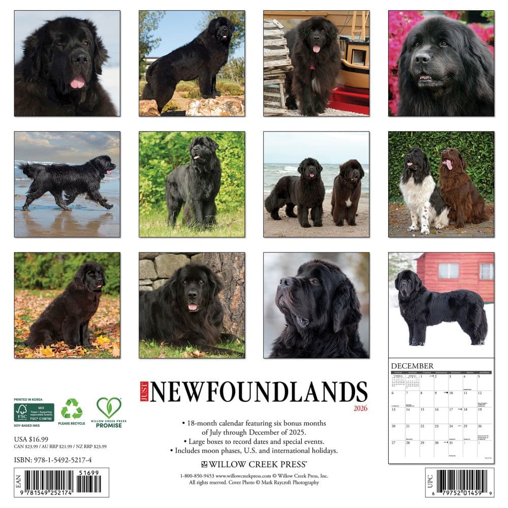 Just Newfoundlands 2026 Wall Calendar First Alternate Image