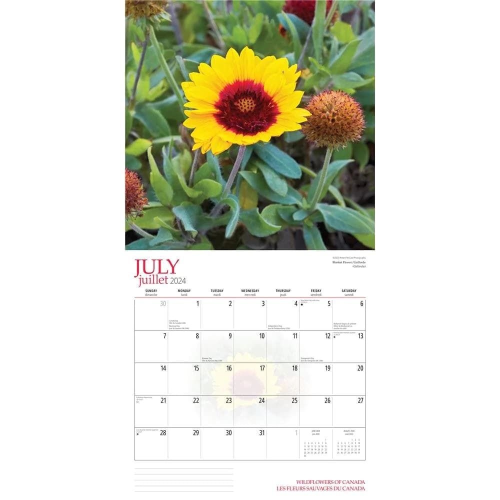 Wildflowers 2024 Wall Calendar July