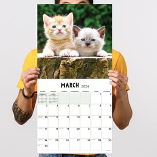 2024 Kalender, 2024 Kitty Calendar, Cat Wall Calendar 2024, 12 månaders  kattkalenderpresenter till kattälskare 1Pcs a566, 1Pcs