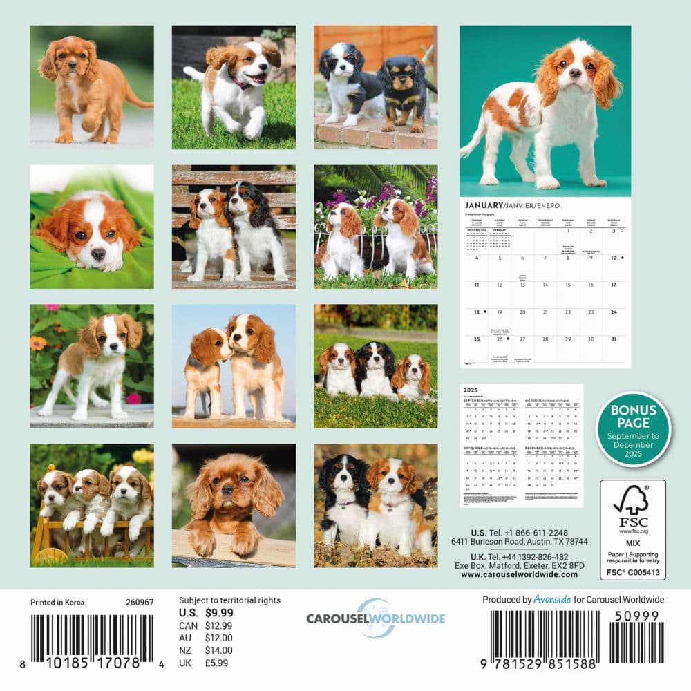 Cavalier King Charles Puppies 2026 Mini Wall Calendar First Alternate Image