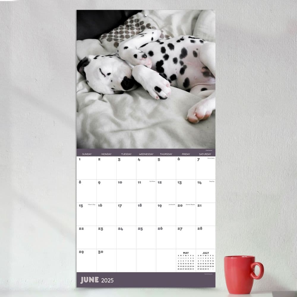 Dog Dreams 2025 Wall Calendar Alt3