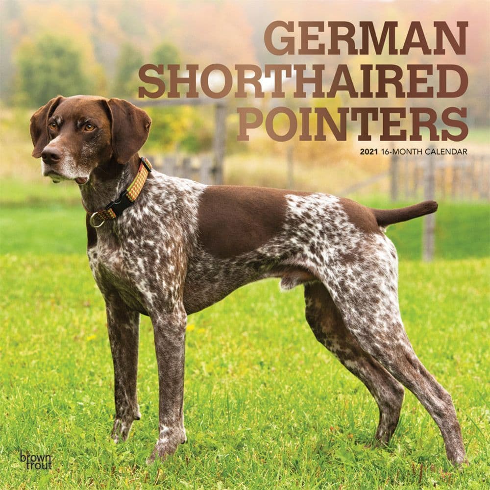 German Shorthaired Pointers Wall Calendar