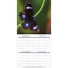 image Butterflies Photo 2026 Wall Calendar_ALT2