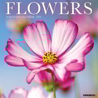 image Flowers 2026 Wall Calendar   Main Image
