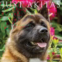 image Just Akitas 2026 Wall Calendar Main Image