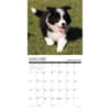 image What Puppies Teach Us 2025 Wall Calendar Second Alternate Image width=&quot;1000&quot; height=&quot;1000&quot;