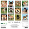 image Shiba Inus 2025 Wall Calendar