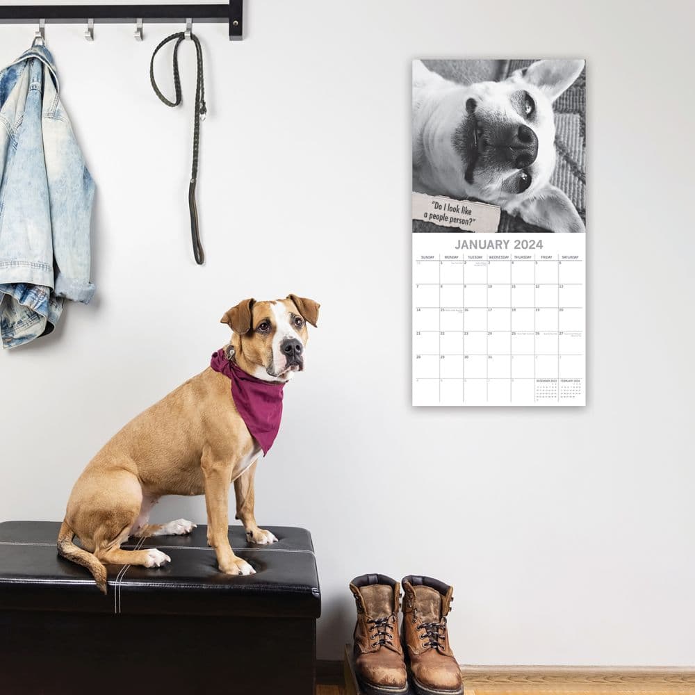 Mutts 2024 Wall Calendar