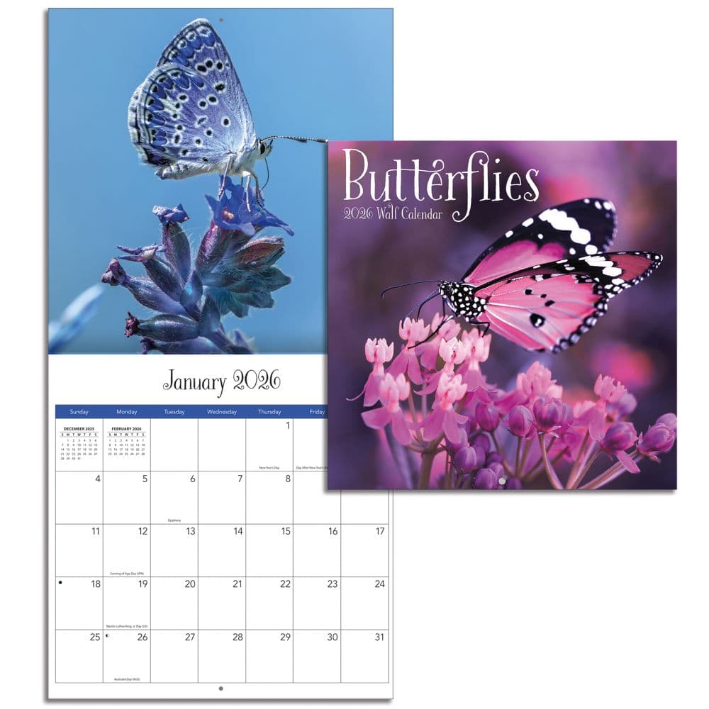 Butterflies 2026 Mini Wall Calendar_ALT4