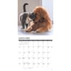 image Cats and Dogs 2026 Wall Calendar Second Alternate Image