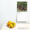 image American Cocker Spaniels 2025 Wall Calendar