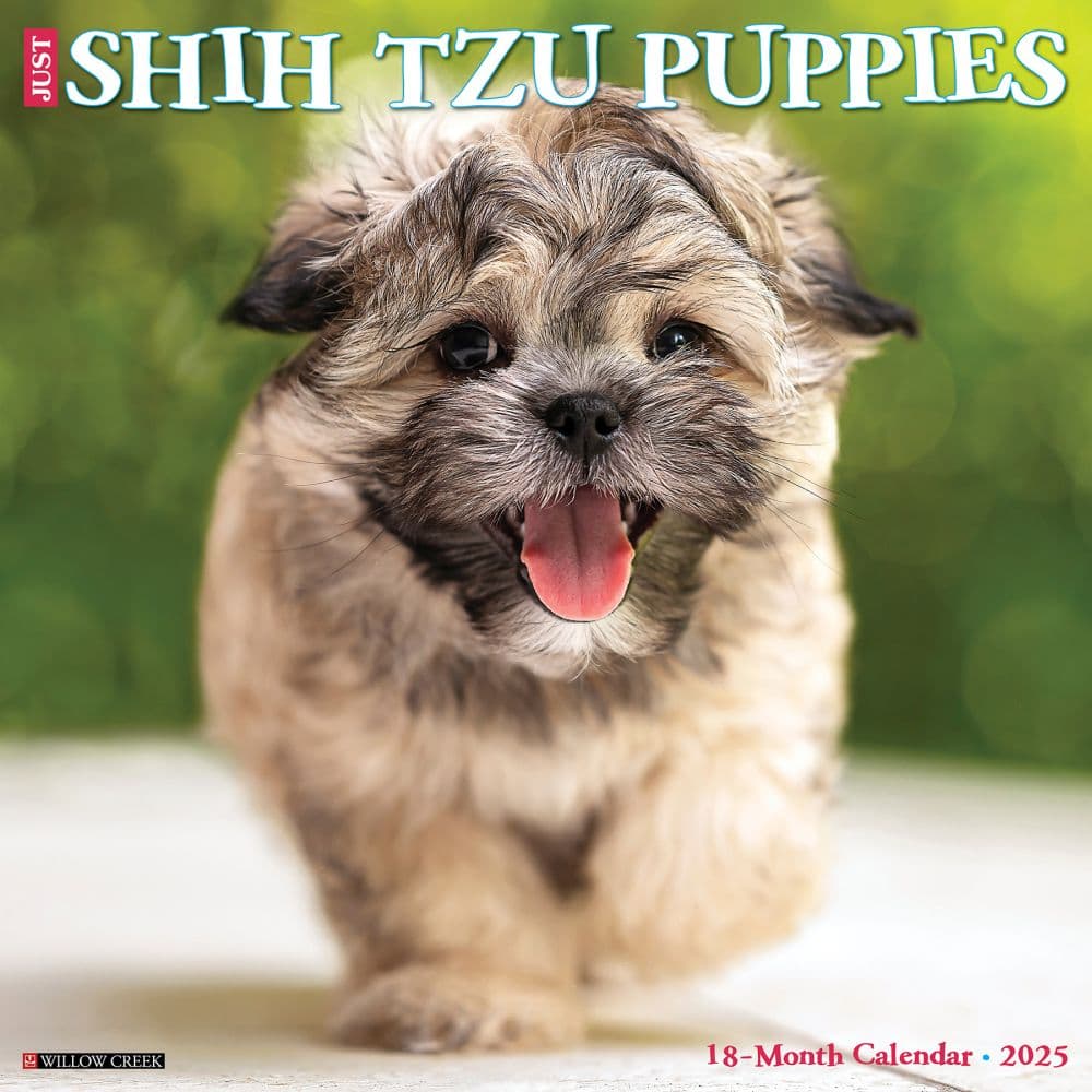 Just Shih Tzu Puppies 2025 Wall Calendar