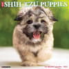 image Just Shih Tzu Puppies 2025 Wall Calendar Main Image