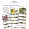 image Audubon Songbirds and Other Backyard Birds Picture-A-Day 2027 Wall Calendar First Alternate Image