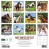 image Why Horses Do That 2026 Wall Calendar First Alternate Image
