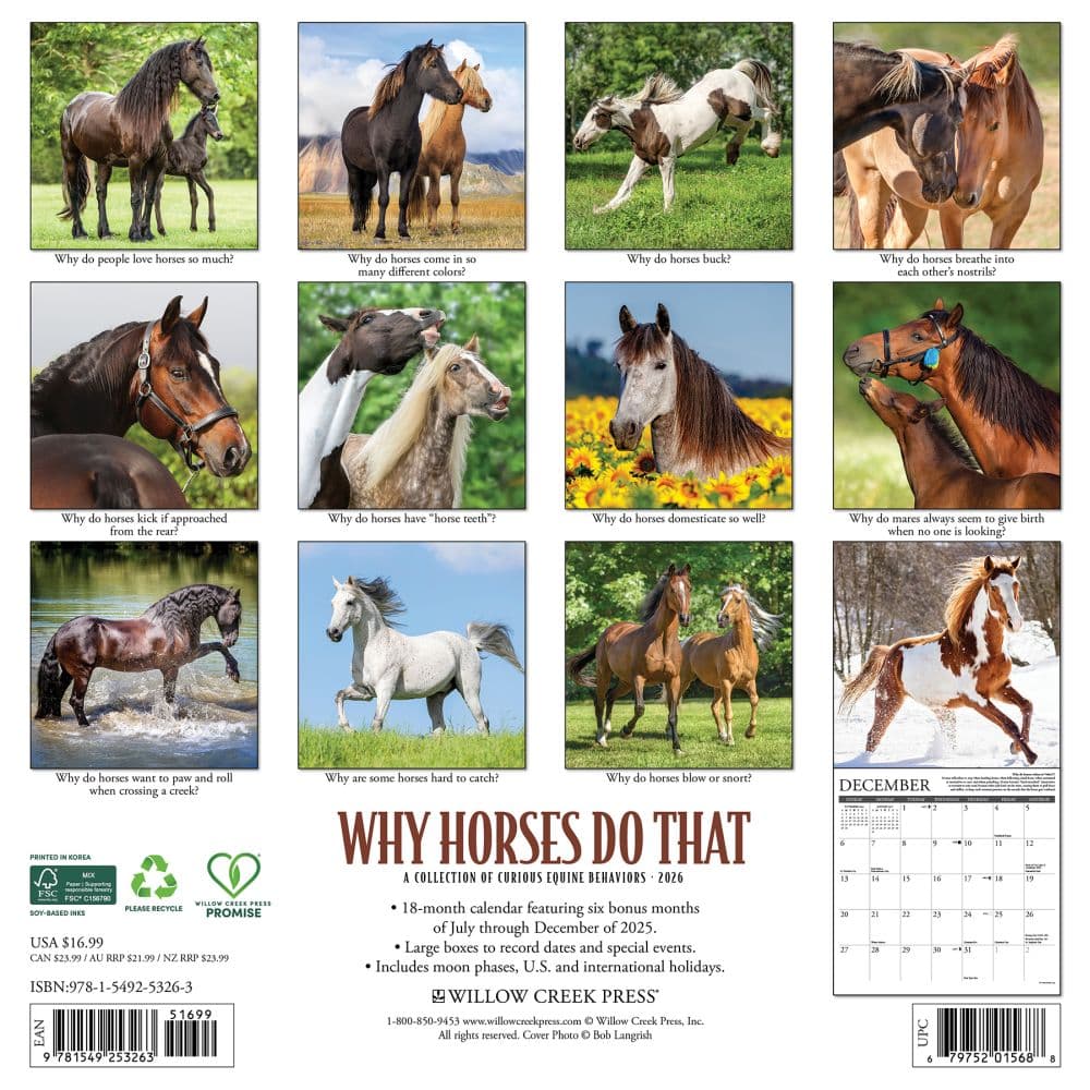 Why Horses Do That 2026 Wall Calendar First Alternate Image
