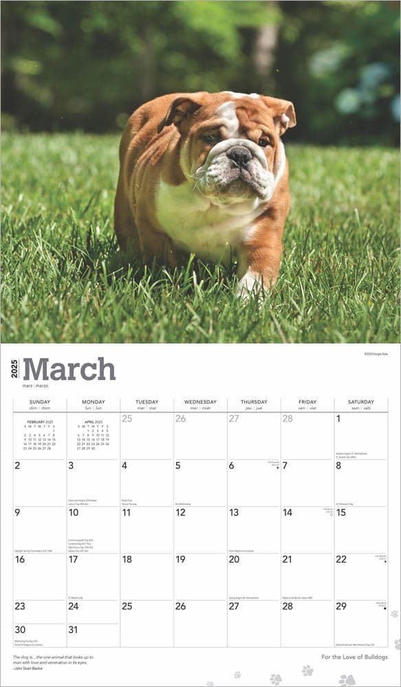 Bulldogs Deluxe 2025 Wall Calendar March