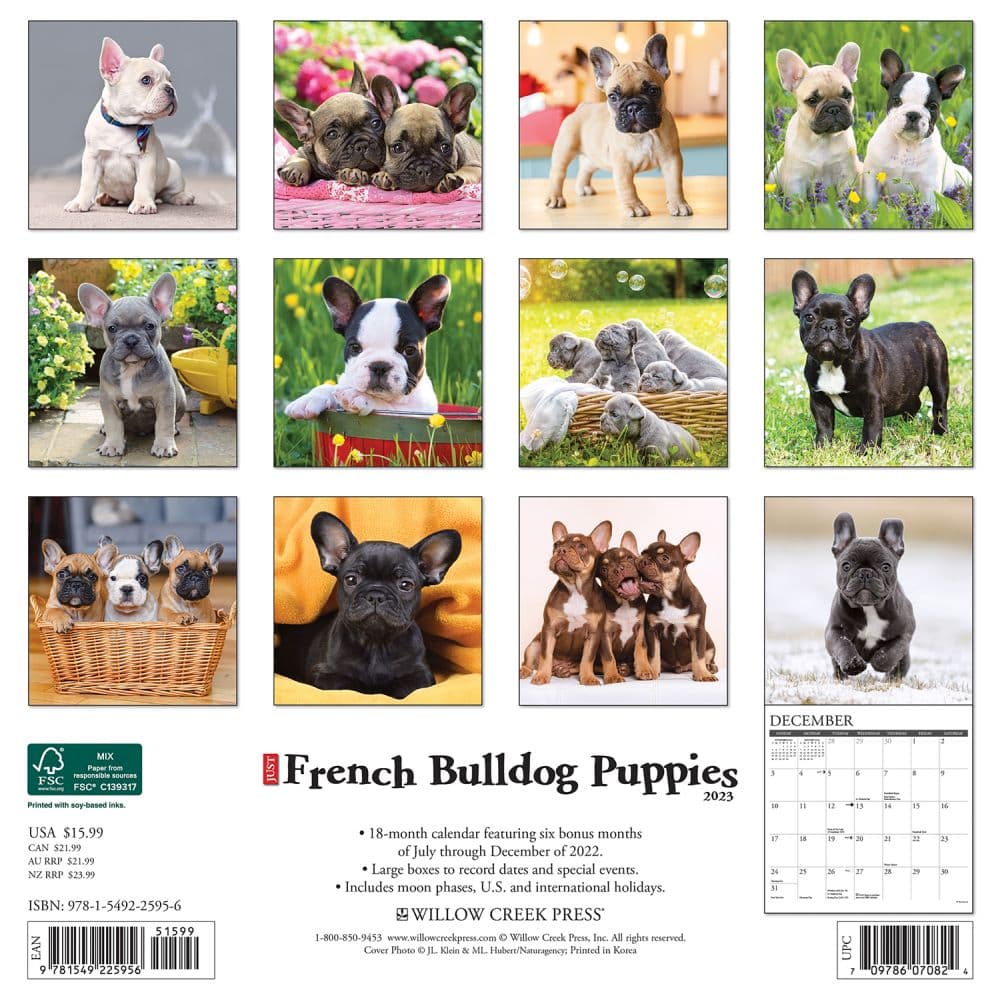 French Bulldog Puppies 2023 Wall Calendar - Calendars.com