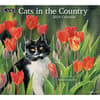 image Cats In The Country 2024 Wall Calendar Main Product Image width=&quot;1000&quot; height=&quot;1000&quot;