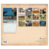 image Cow Calendar by Bonnie Mohr 2026 Wall Calendar First Alternate Image