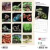 image Snakes 2024 Wall Calendar First Alternate Image width=&quot;1000&quot; height=&quot;1000&quot;