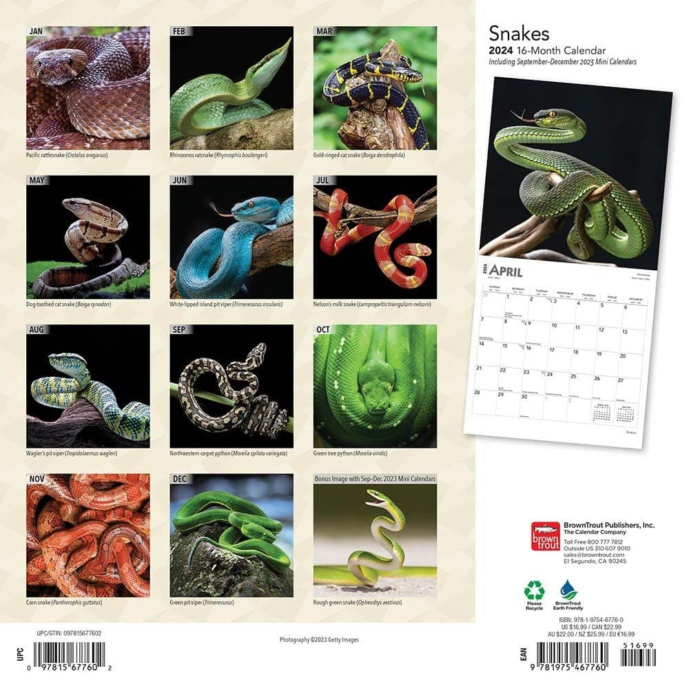 Snakes 2024 Wall Calendar First Alternate Image width=&quot;1000&quot; height=&quot;1000&quot;