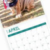 image Bulldog Puppies 2025 Wall Calendar Sixth Alternate Image