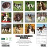 image Just English Springer Spaniels 2025 Wall Calendar First Alternate Image width="1000" height="1000"