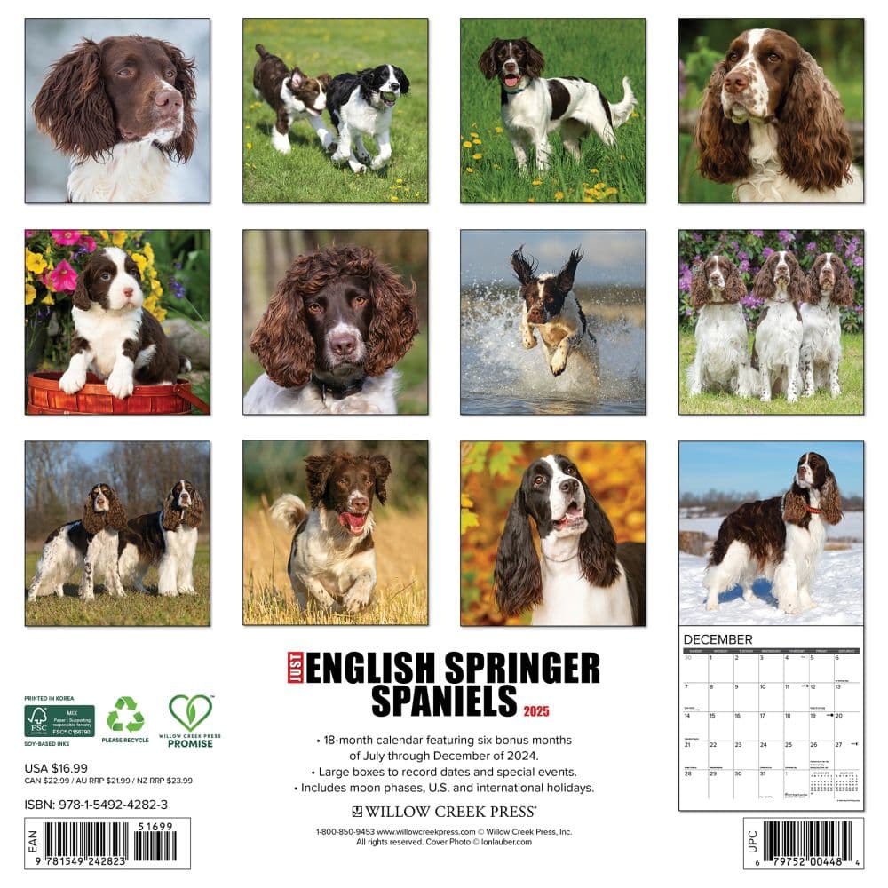 Just English Springer Spaniels 2025 Wall Calendar First Alternate Image width="1000" height="1000"