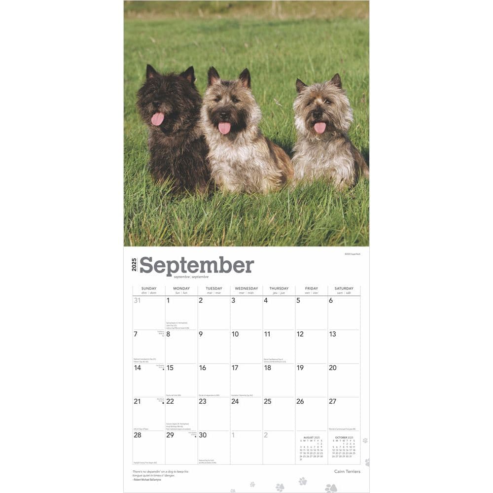 Cairn Terriers 2025 Wall Calendar
