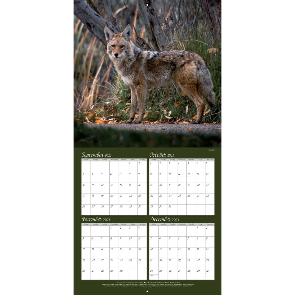 Wildlife 2024 Wall Calendar