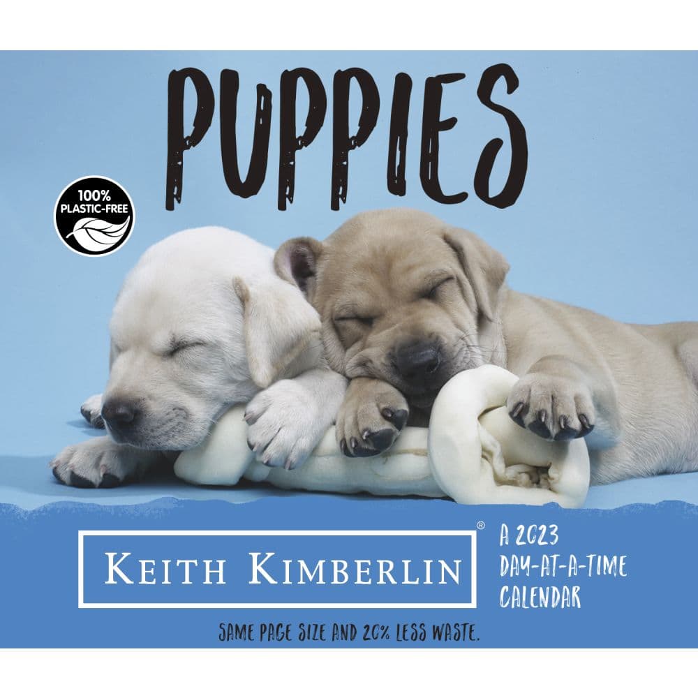 Trends International Puppies Kimberlin 2023 Desk Calendar