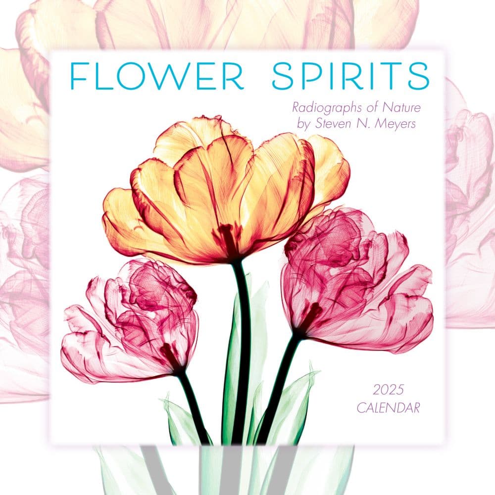 Flower Spirits 2025 Mini Wall Calendar