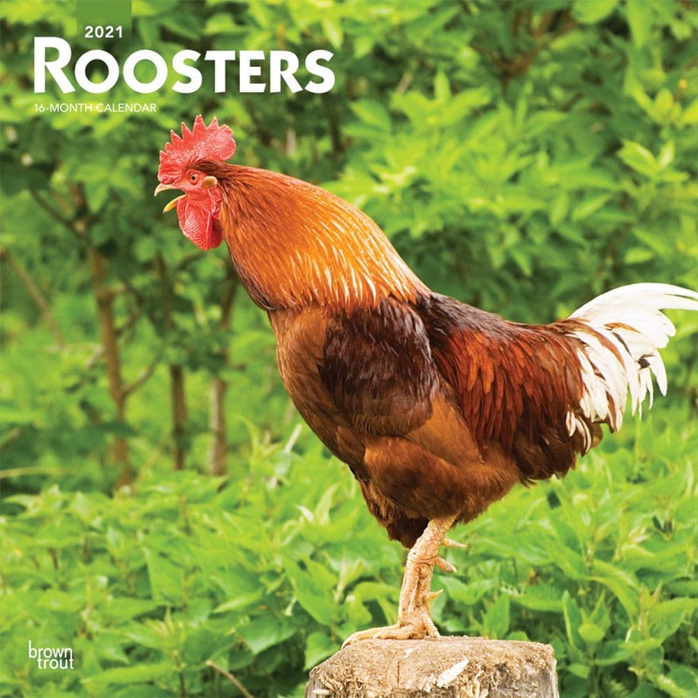 Roosters Wall Calendar