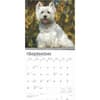 image West Highland White Terriers 2025 Wall Calendar Third Alternate Image width=&quot;1000&quot; height=&quot;1000&quot;