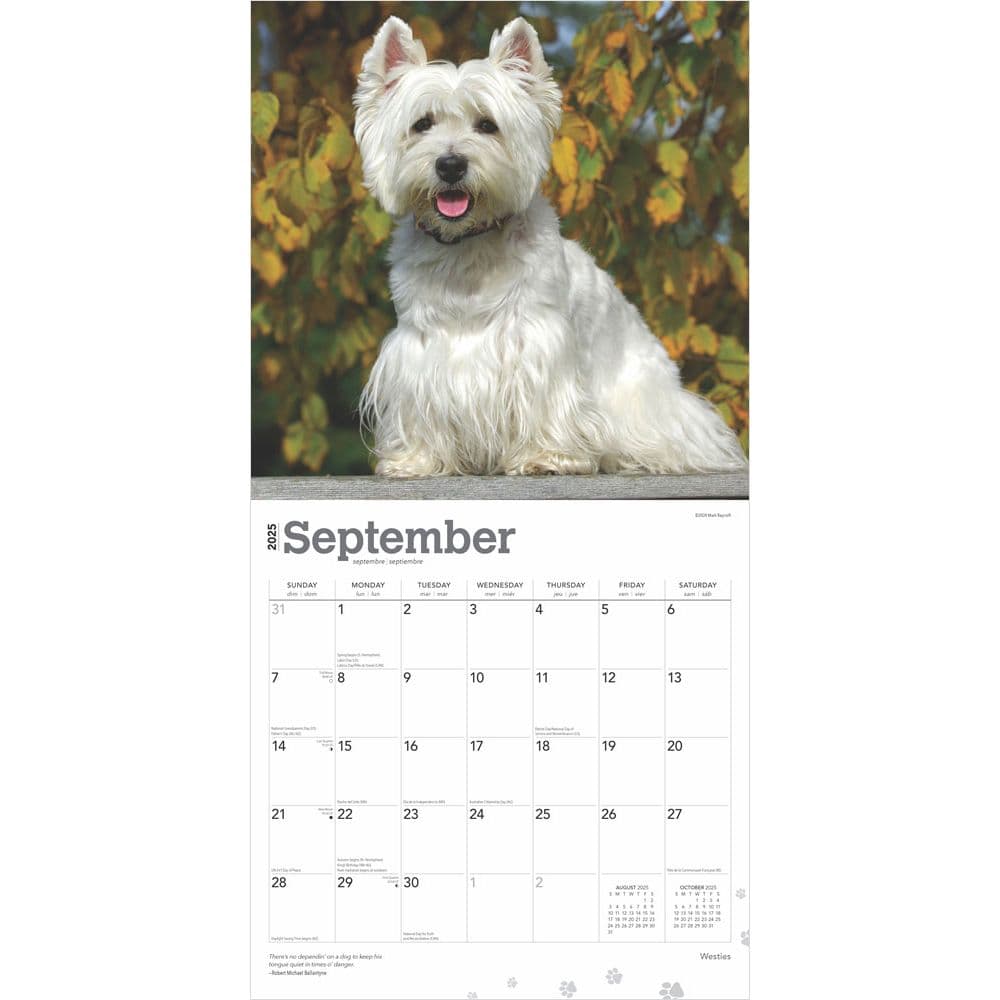 West Highland White Terriers 2025 Wall Calendar