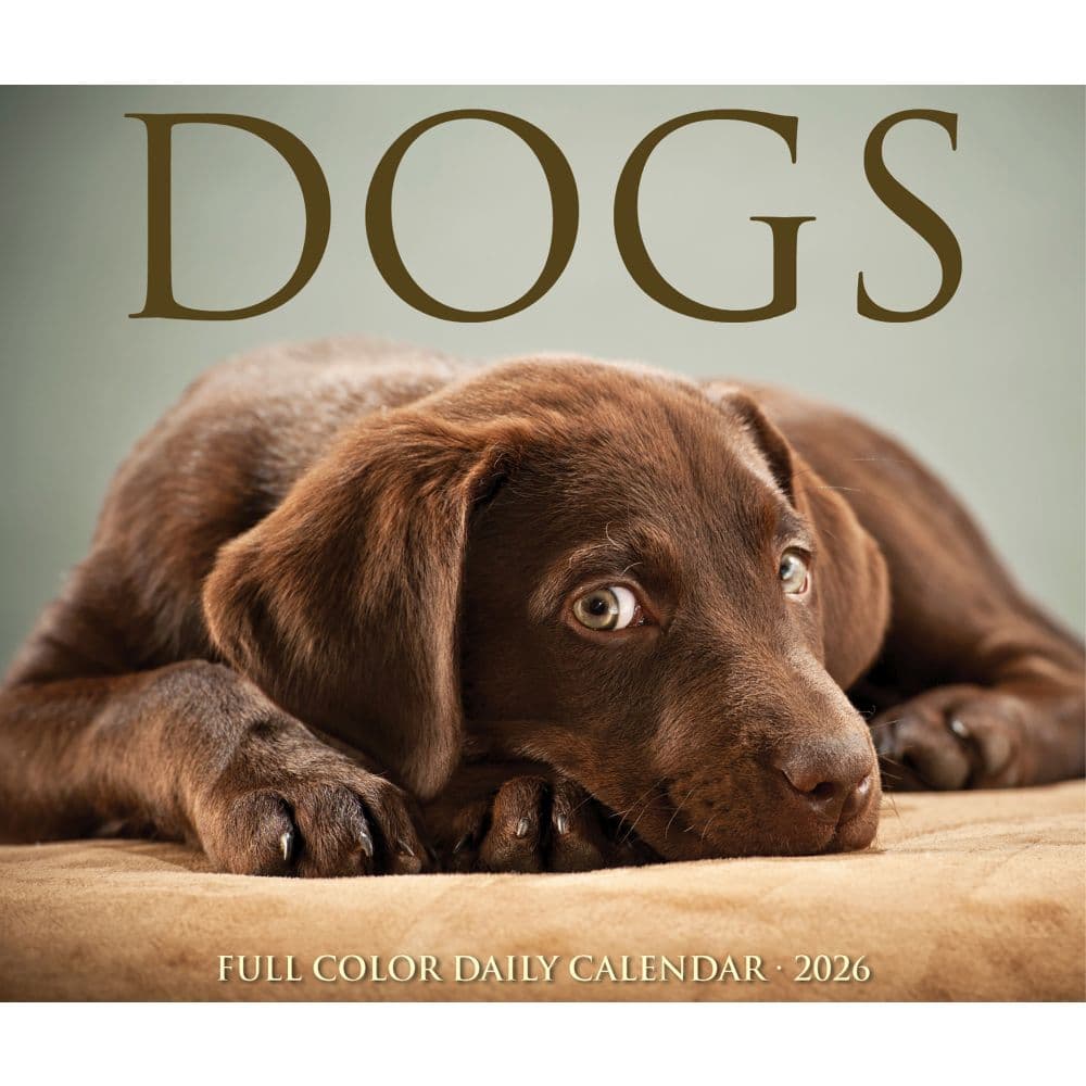 Dogs 2026 Desk Calendar Fourth Alternate Image
