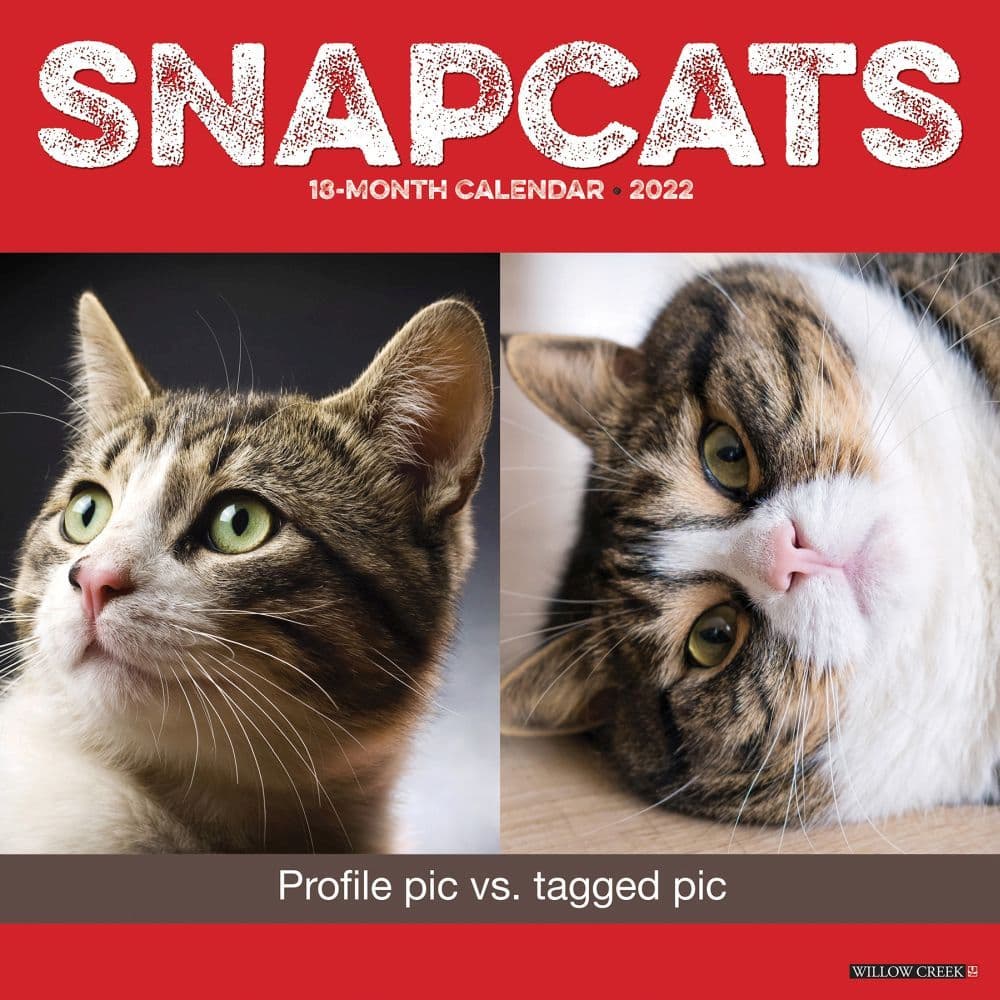 Snapcats 2022 Wall Calendar