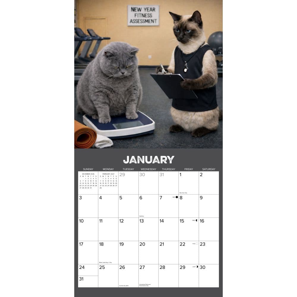 Gym Cats 2027 Wall Calendar Second Alternate Image
