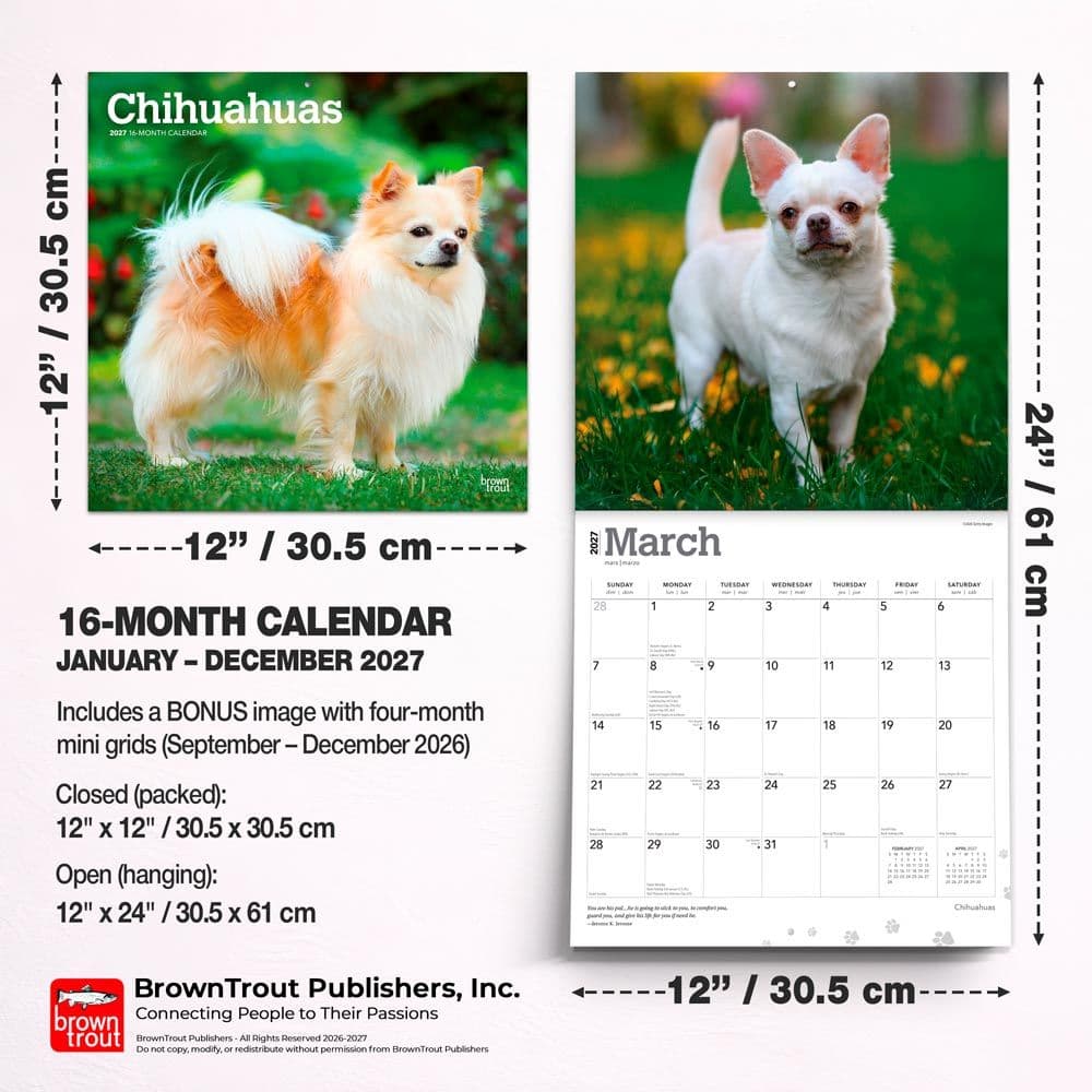 Chihuahuas 2027 Wall Calendar Sixth Alternate Image