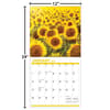image Sunflowers 2024 Wall Calendar Alternate Image 4