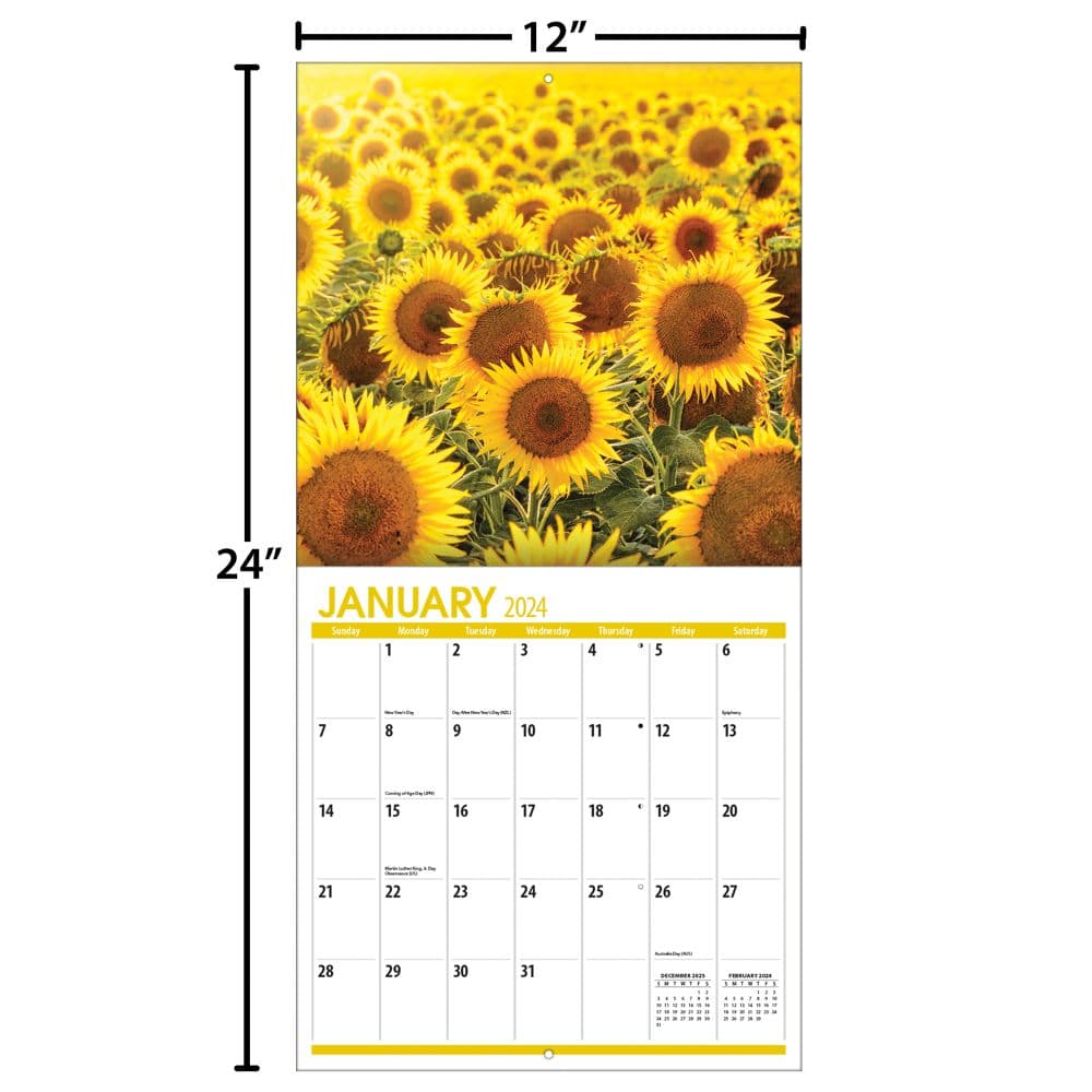 Sunflowers 2024 Wall Calendar Alternate Image 4