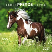 image Horses 2027 Wall Calendar Main Product Image