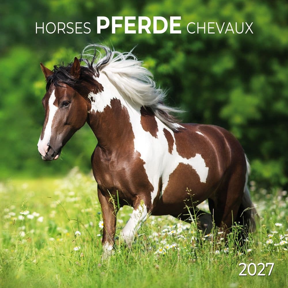image Horses 2027 Wall Calendar Main Product Image