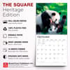 image Pandas 2027 Wall Calendar Fifth Alternate Image