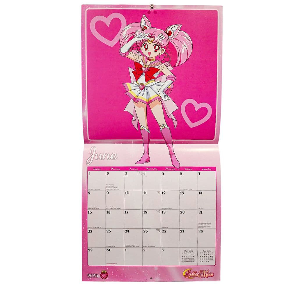 Sailor Moon 2025 Wall Calendar Ninth Alternate Image