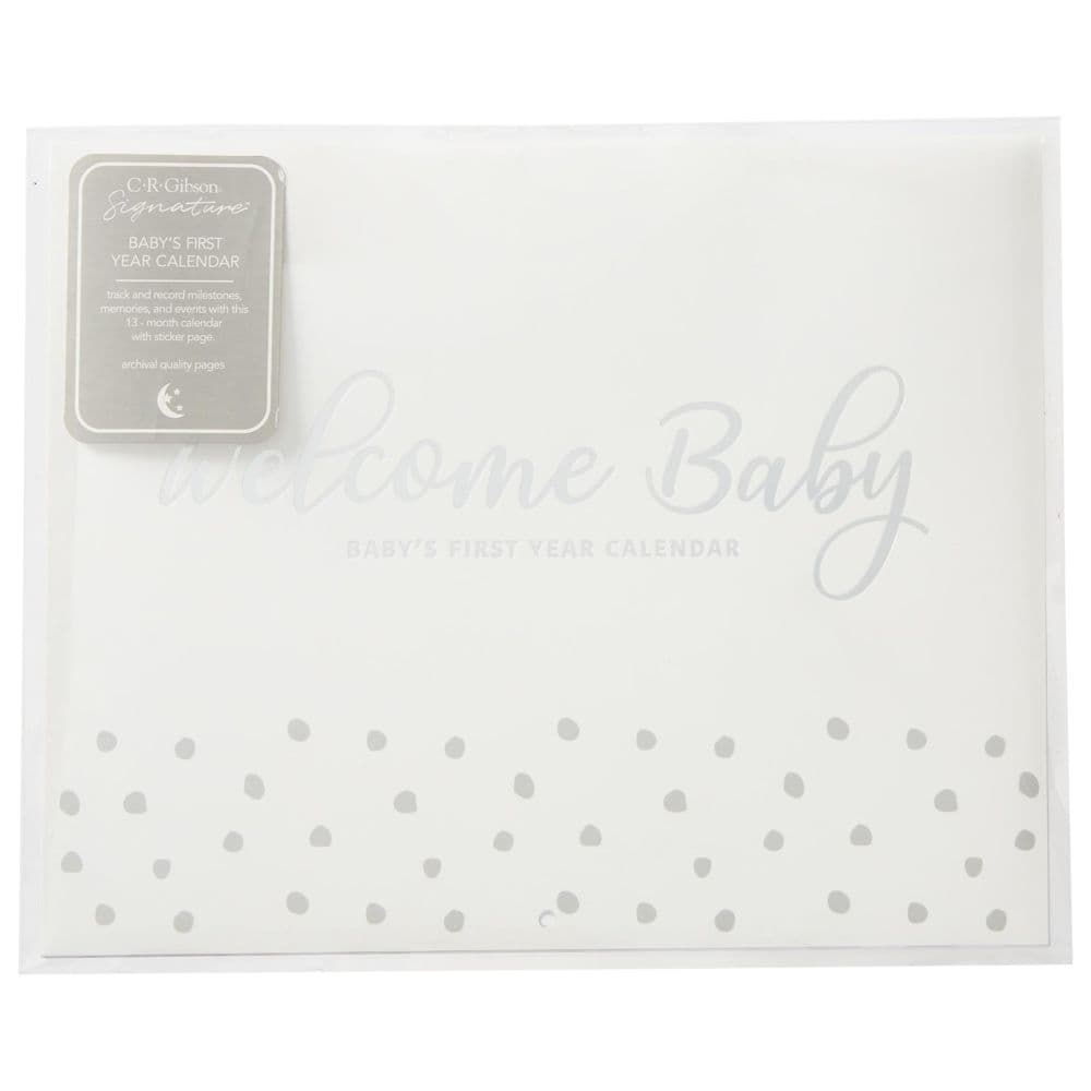 Welcome Baby First Year Calendar Alternate Image 3
